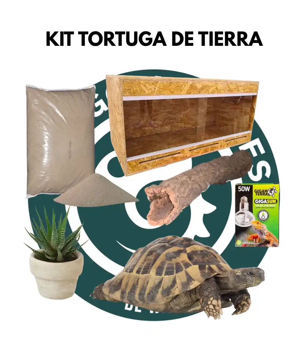 KIT TORTUGA DE TIERRA_ Kit tortuga de tierra
