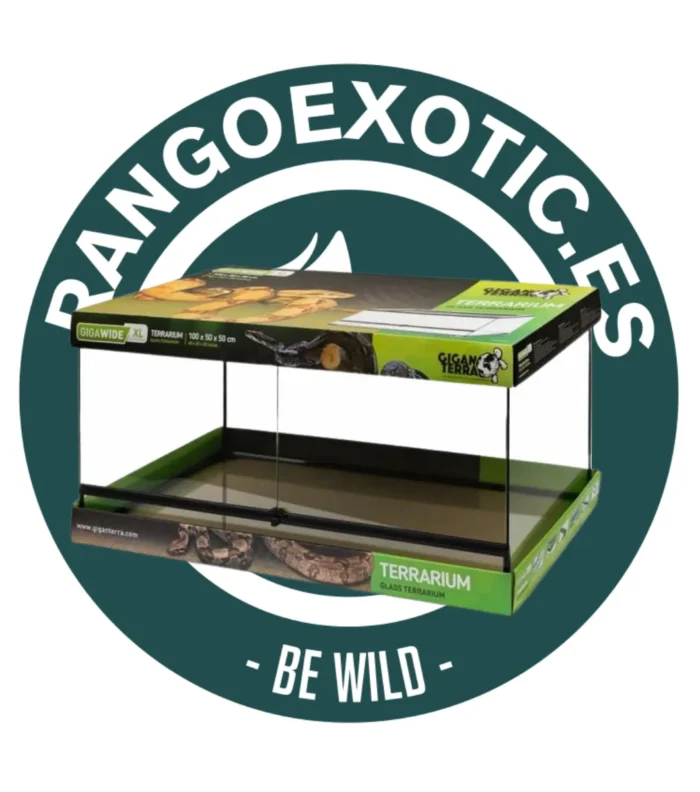 Terrario de cristal para reptiles