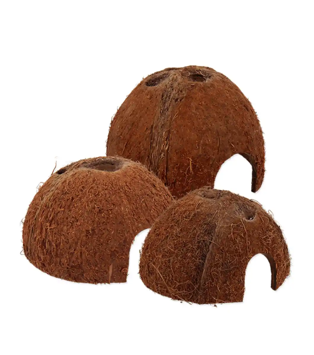 Decoración-cocos Cuevas de coco para terrarios
